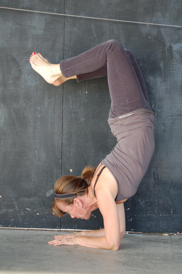 Teach me how to yoga teach me teach me how to yoga. Wednesday @ 1 @ Studio3 #yoga #yogainbend, #yogaeverydamnday