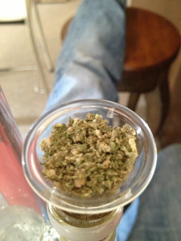 steve_wieser's tweet image. Party size.
#zob #3head #blowsome