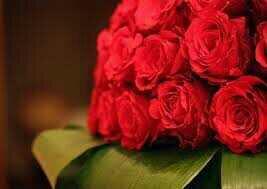 tarakyy tweet picture
