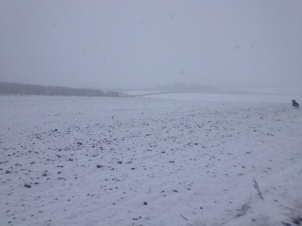 farms2ewe's tweet photo. This was unexpected!! http://t.co/kgxQDSUBbS