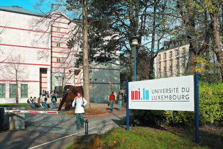 femicare tweet media