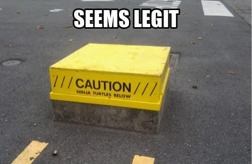 thebrigittemoya's tweet image. 