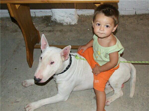 Elperfas's tweet photo. Sato y aratz http://t.co/nxsRWwsmBW
