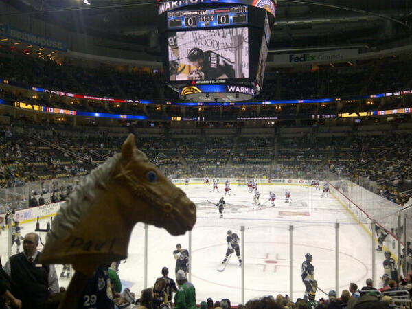 Paul_the_Horse's tweet photo. @Paul_the_Horse had a great time in Pittsburgh this weekend. Thanks for the hospitality @penguins ! http://t.co/7unSGz65Zj