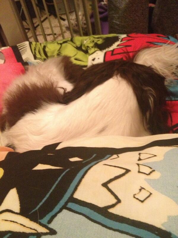 Natalie Jayne Lawlor tweet media