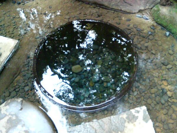 ツイッター神社 tweet media