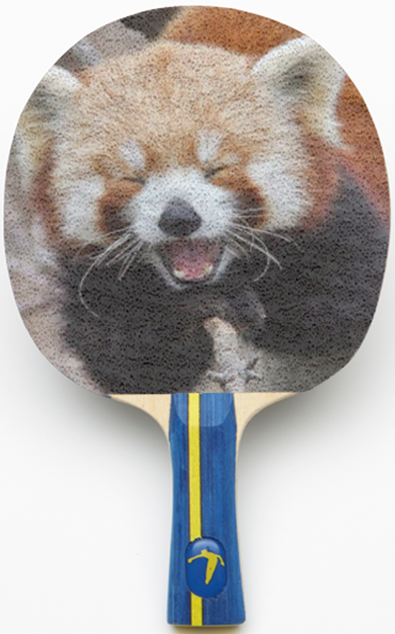 PaddleYou's tweet photo. She'll be more excited to see her face on one of our custom ping pong paddles! @BuzzFeed #pandapaddle http://t.co/sj4ELQacb6