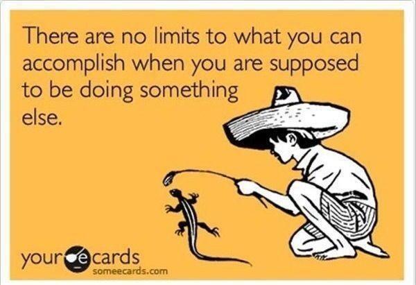 pickledcobble's tweet image. #finalsweek #monmouthproblems