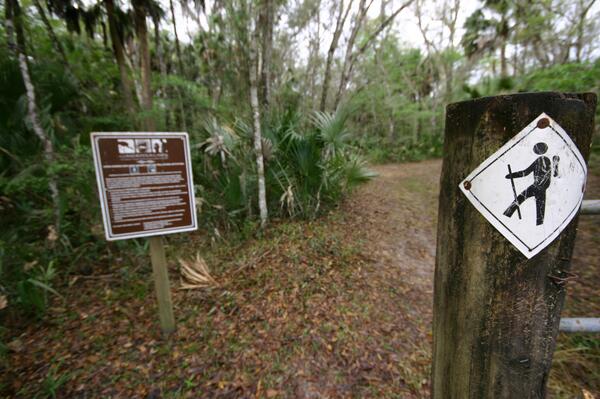 Have you been to the newly cleared #hiking #trail at Marsh Bend "Outlet" Park in Lake Panasoffkee? Check it out!