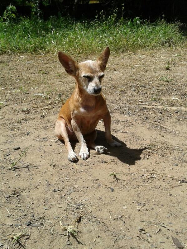 Xuxinhaaaa tomando banho de Sol ....kkkkk