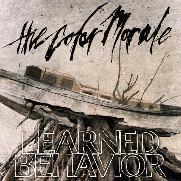 dawnofpatrick's tweet image. &quot;We are the same disease&quot; - #LearnedBehavior @thecolormorale #KnowHope 7 more days.