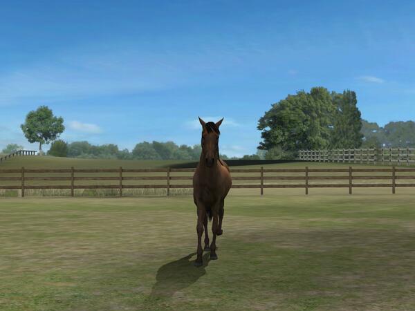 cnsecurity's tweet photo. Check out my photo! Add me, GlycolPoems305. #MyHorse http://t.co/oPBHBFzgNV http://t.co/wjQAbqkPe0