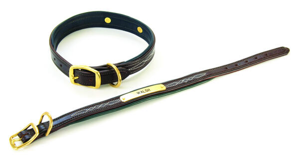 walshharness's tweet photo. Check out our new 2013 Signature Dog Collar! Visit http://t.co/Ss4IReUzum for more information! #Walsh #DogCollar http://t.co/KEsvDAcnSs