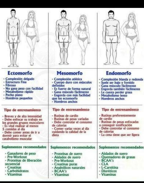 Que engorda mas calorias o carbohidratos