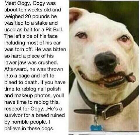 roadtohealthy13's tweet image. “@tayrae02: “@TrashTalkTwat: #WhyiHatePeople @WhyI_HatePeople 😔 http://t.co/gLJi1A9zx9” 😢😡😢😢😢😢” absolutely disgusting