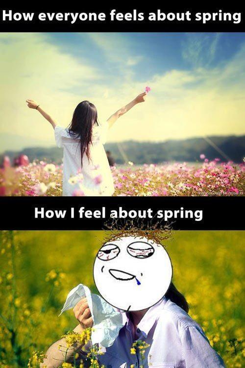 kimiegarciaa's tweet image. #springproblems