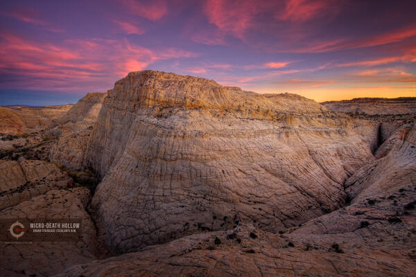 Canyon Collective tweet media