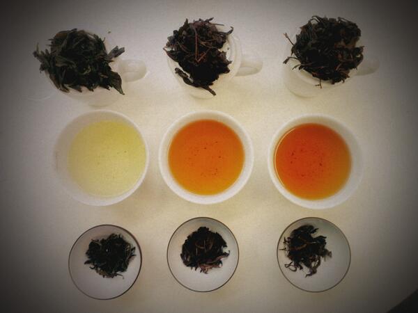 VueTea's tweet image. Wenshen baozhong. 2012 1982 1973!!! @teasense @somagefinefoods @TnSympathy @Vuedemonde