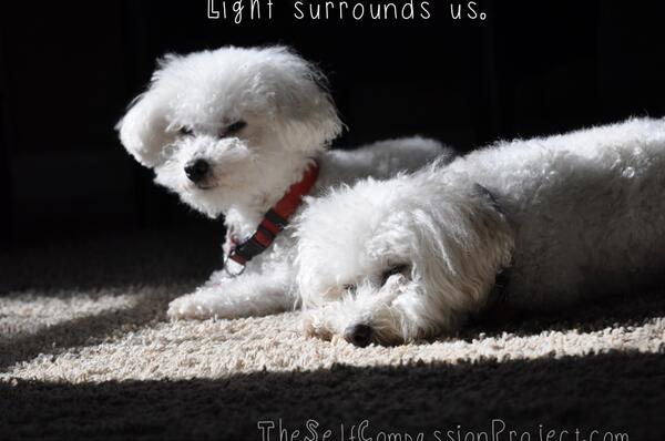 barbmarkway's tweet image. I put text on this photo with an app called Over @madewithOver #textography