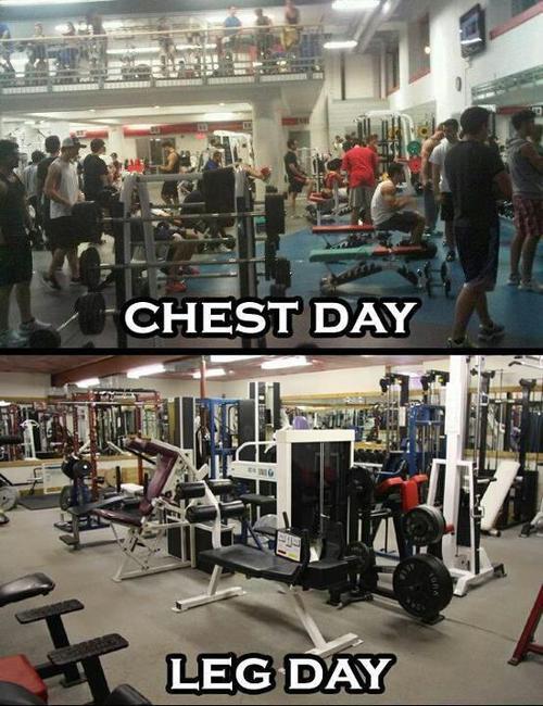 NewLifeProFit's tweet image. Whats the day today? Chest or Leg day?