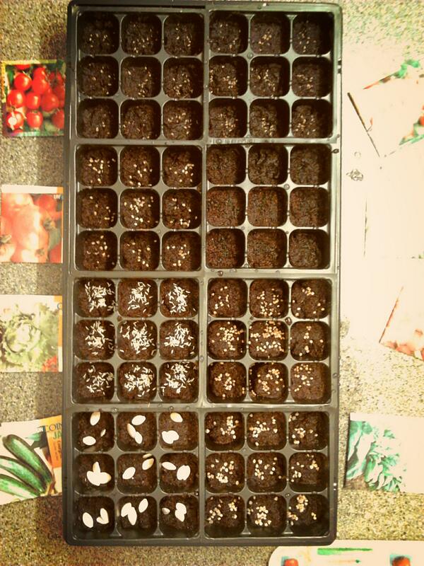 TyreeDowney's tweet photo. Getting my green thumb today http://t.co/mmE1yebVl9