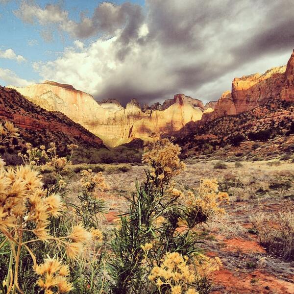 US Department of the Interior (@interior) on Twitter photo Do you think <a href="/ZionNPS/">Zion National Park</a> looks amazing this time of year? RT if you agree. #Utah Do you think <a href="/ZionNPS/">Zion National Park</a> looks amazing this time of year? RT if you agree. #Utah