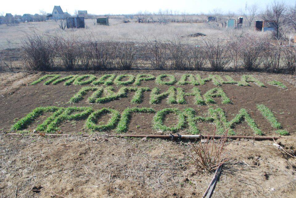 Прикольные картинки про грядки сад огород