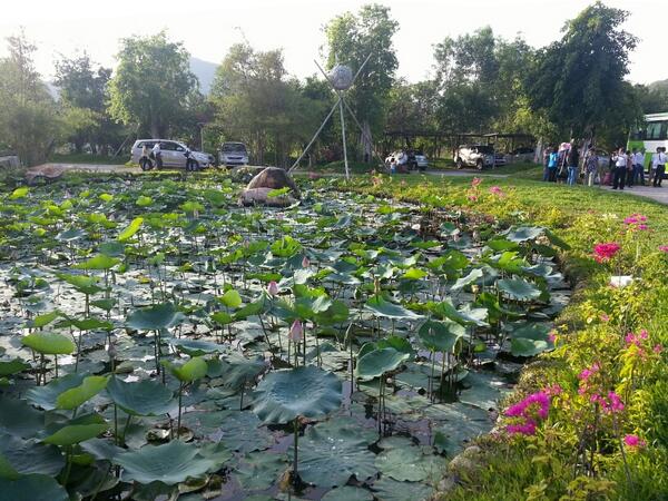 schvn's tweet photo. 냐짱의 새 온천, iresort 앞의 연못. http://t.co/tzxi7iU2UZ