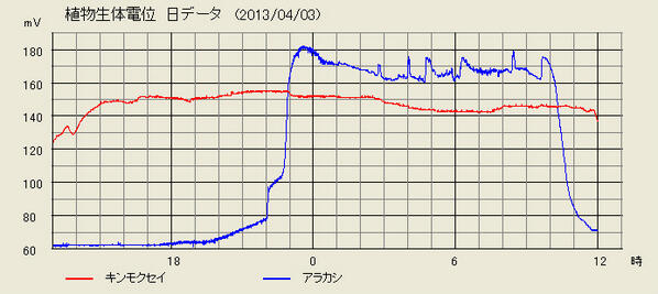 埋め込み画像への固定リンク