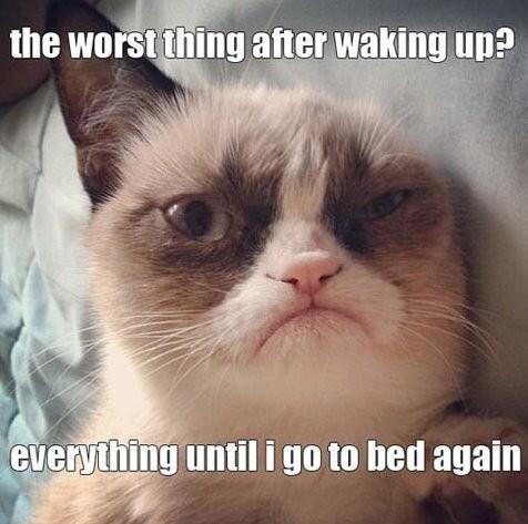 Hash__Tagg's tweet image. This is what I feel like most mornings.