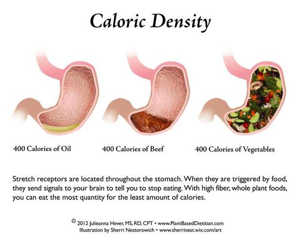 Calorie Density Chart Chef Aj