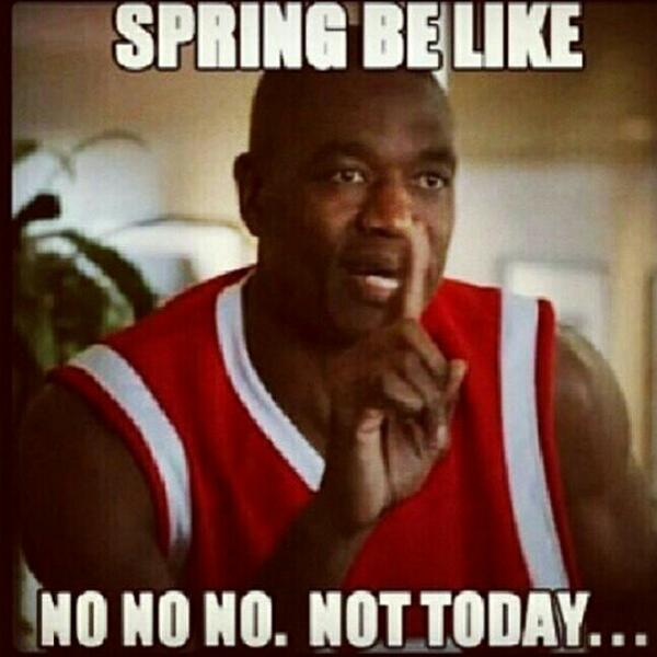 EstelleDarlings's tweet photo. “@SirenMelodies: @EstelleDarlings I was lmao @ #springstillinbed?! This for ya funny bone kiddo http://t.co/U3pyXqcvnG”