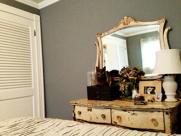 The adoring/freakish first thing I see when I wake up: Taleggio staring at me from my dresser! #cat
