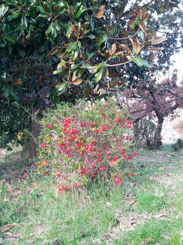 Che la #primavera sia veramente arrivata?
