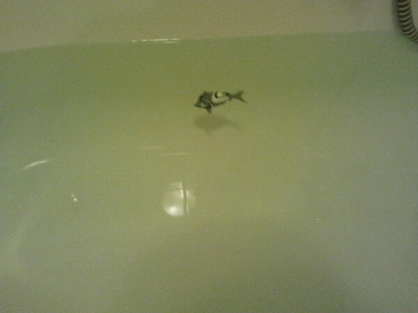 joyceloraine's tweet image. O jee! Een #robovis in bad! #kinderfeestje