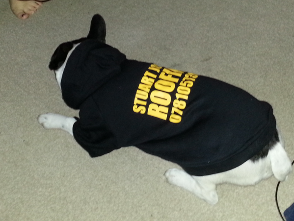 Nev and his new company hoodie