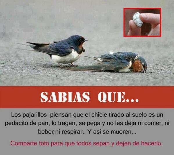 naturaambiental's tweet image. Precauciones y actitudes que pueden salvar aves. Si eres educado y respetuoso vamos por la senda adecuada.