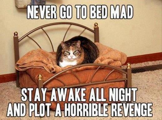 Jodiemcleavey_ tweet picture