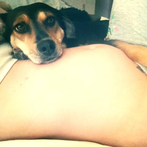 JillianBell5's tweet photo. @TheEllenShow ... Only two and 1/2 months (9 weeks).. My puppy is so happy.. http://t.co/rGuW0lIHMW