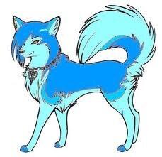 wolfofthewild's tweet image. @MillieRox18 how are you?