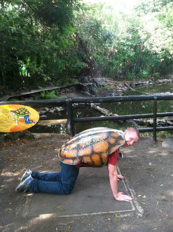 Matt_Boyd5's tweet image. #turtleshell #costarica