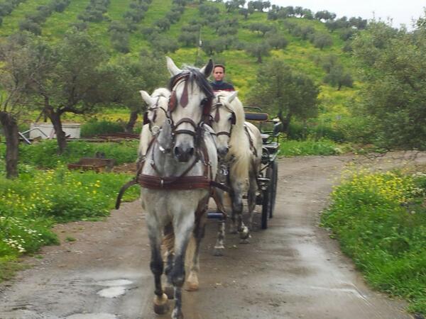 BlancoPosti's tweet photo. Nos hemos puesto chorreando pfff y encima sin dormi http://t.co/6BA1bwsIsV