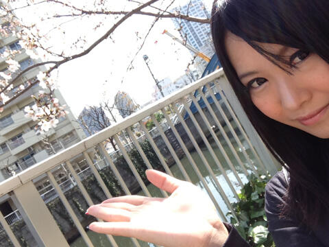 桜ー。 http://t.co/Qm4cyeLxQ4