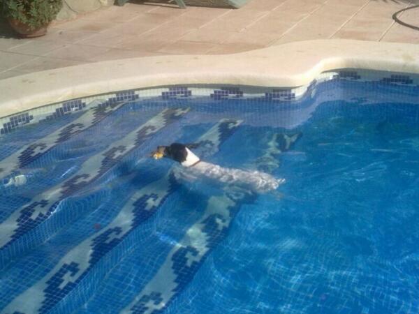 javii5590's tweet photo. http://t.co/81gOkpqSr2