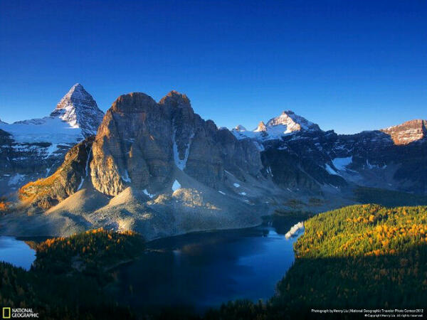 paunchaikan tweet picture