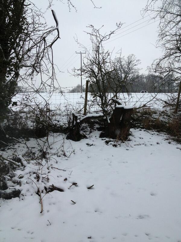 sarah_wilks0412's tweet image. Tenbury in spring!
#BeautifulButCold