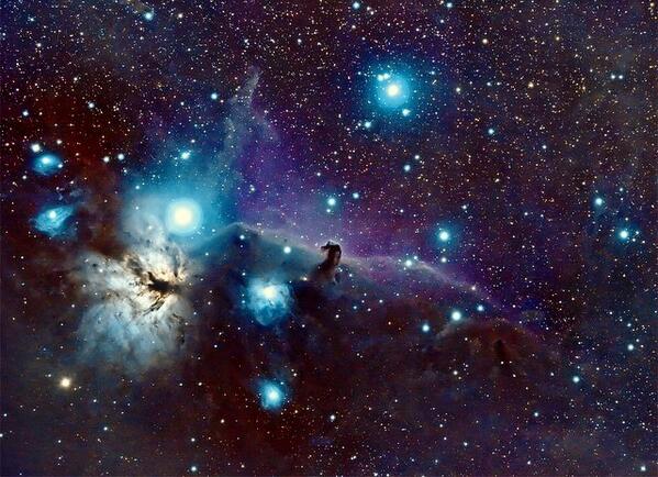 Astropartigirl's tweet image. What a beautiful image of #NGC2024 #FlameNebula &amp;amp; #Barnard33 #Horsehead #Nebula! ☆♥☆ #Astronomy #space #Cosmos