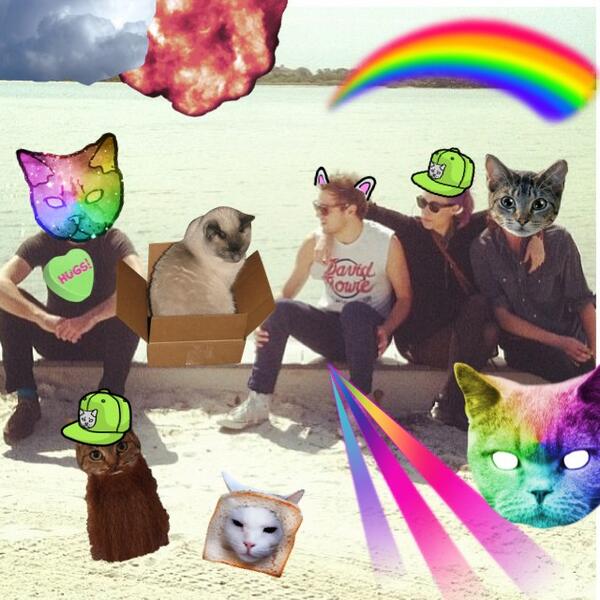 sarahmagillll's tweet image. Snap backz and cats tooo' @familyoftheyear #luvyall #somuch