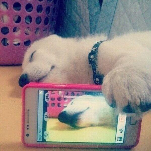3bood_mana's tweet photo. يعني ماتدري حتى انت بعد 😂 http://t.co/6GupPSJpA6