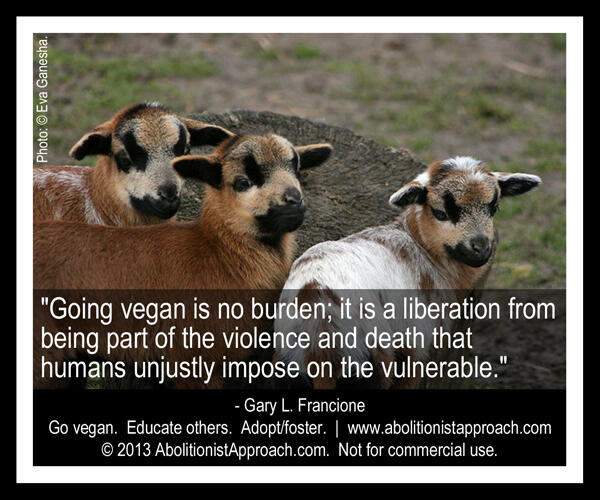 kat_momma's tweet photo. RT @garylfrancione: A new Abolitionist Approach poster http://t.co/6bykbrsQEx